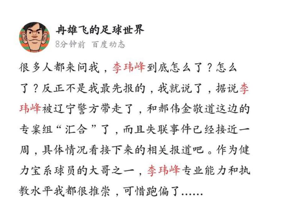 李玮峰带走了几个球队了,中国球迷对李玮锋评价