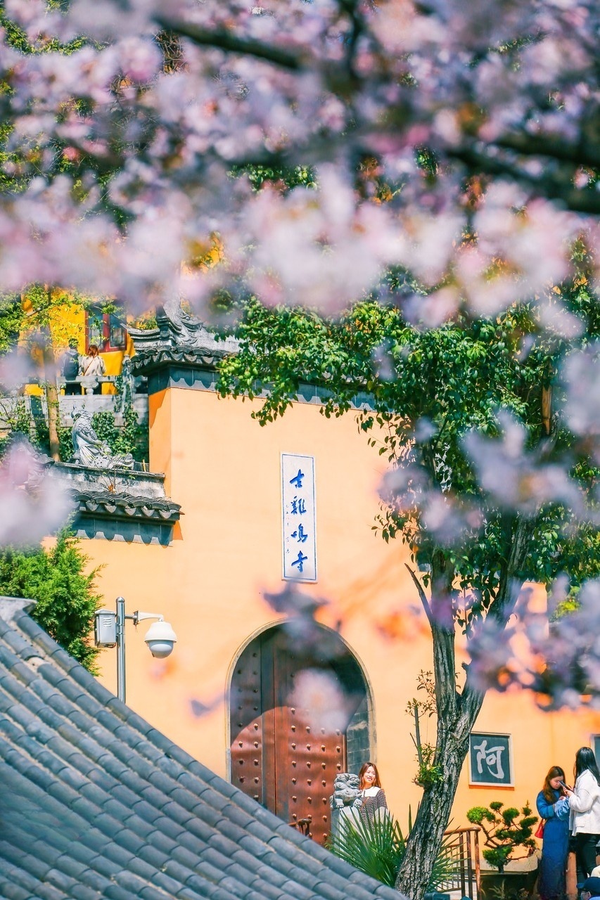 六朝古都南京游玩的视频,南京旅游六朝古都攻略