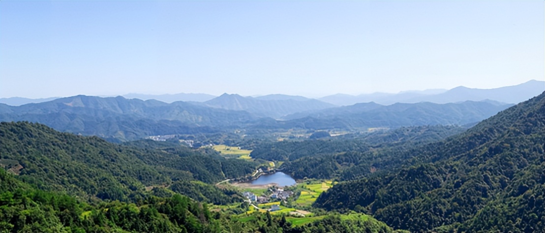 春茶的七大禁忌,四季春茶做什么茶比较好