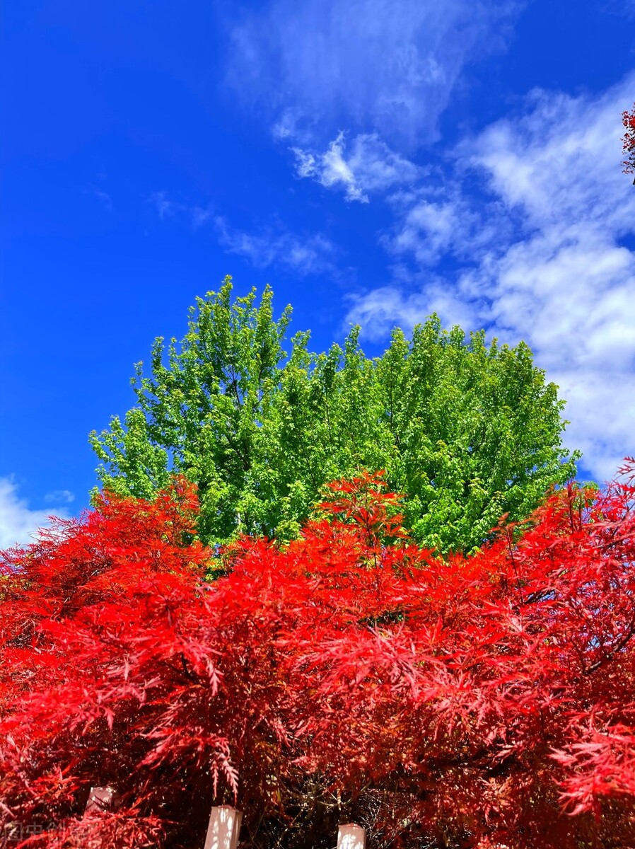 保持好身材的30个小妙招,保持苗条身材的四个小绝招