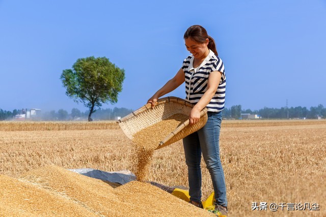 我被老公抛弃了,我被老公抛弃伤透了心