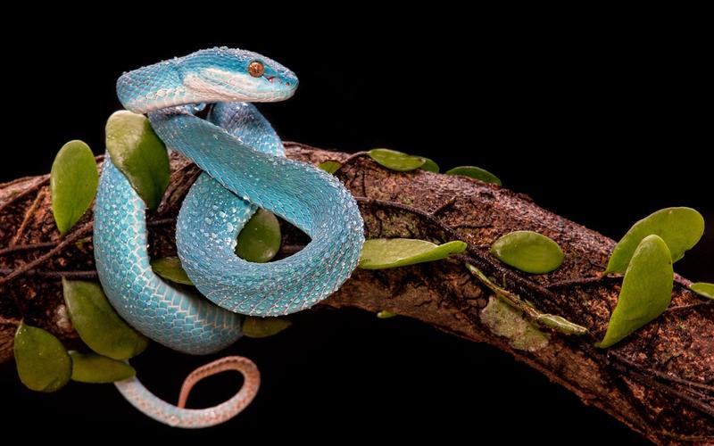 什么是“灰色强奸”？它到底有多可怕，为何很少有女性站出来发声