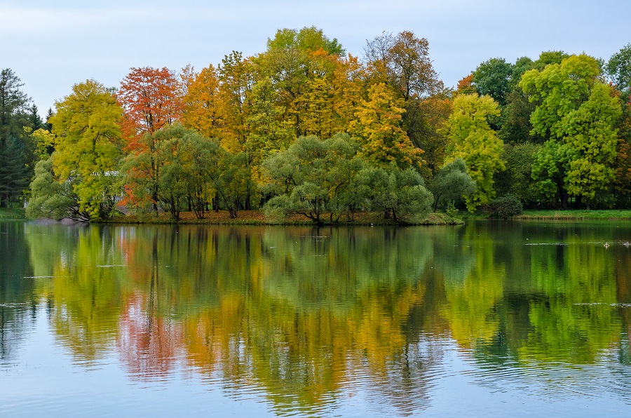 如何给孩子们讲解秋分,今日秋分要注意什么