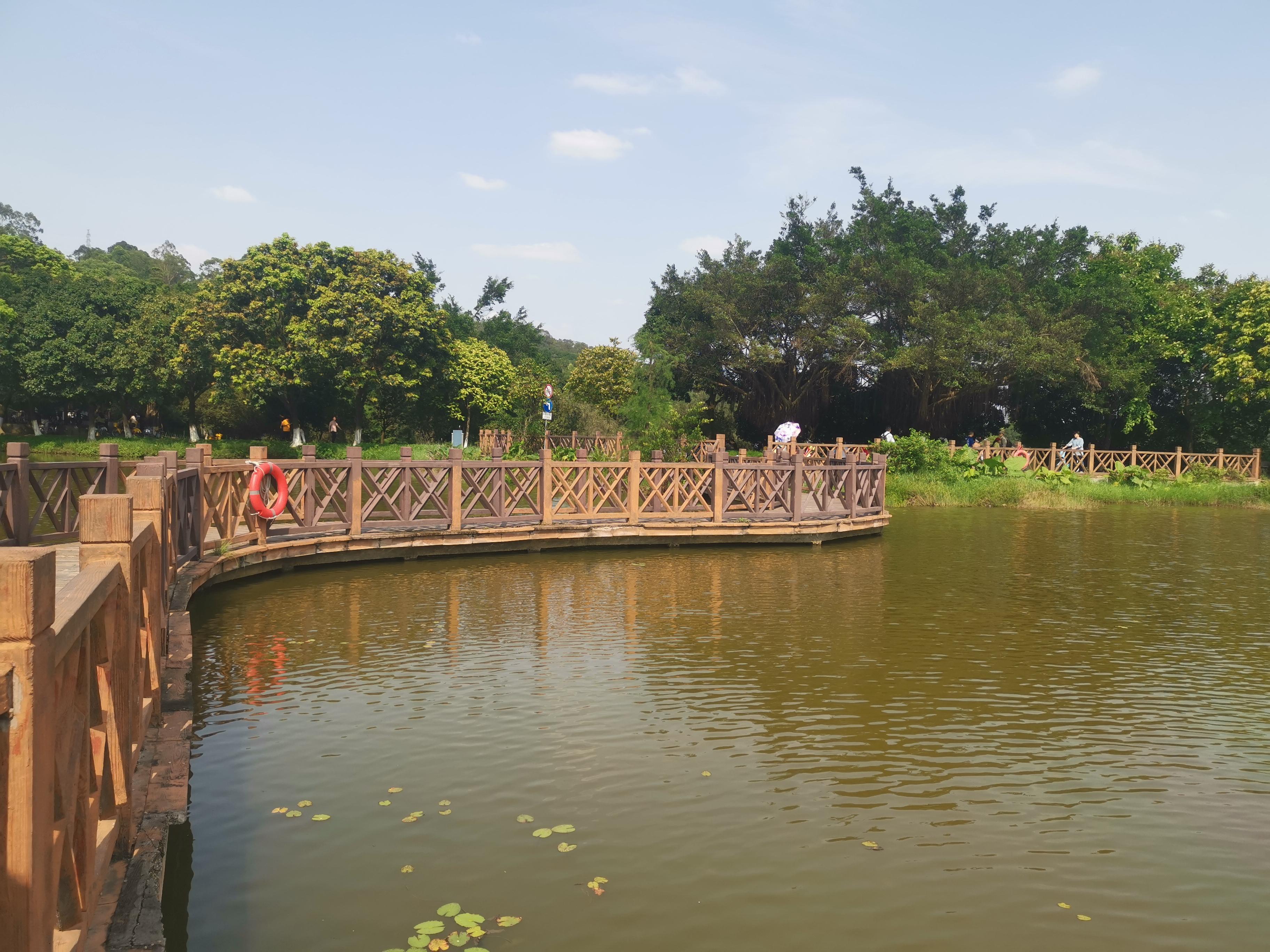 大夫山一日游自由行,大夫山一日游周记