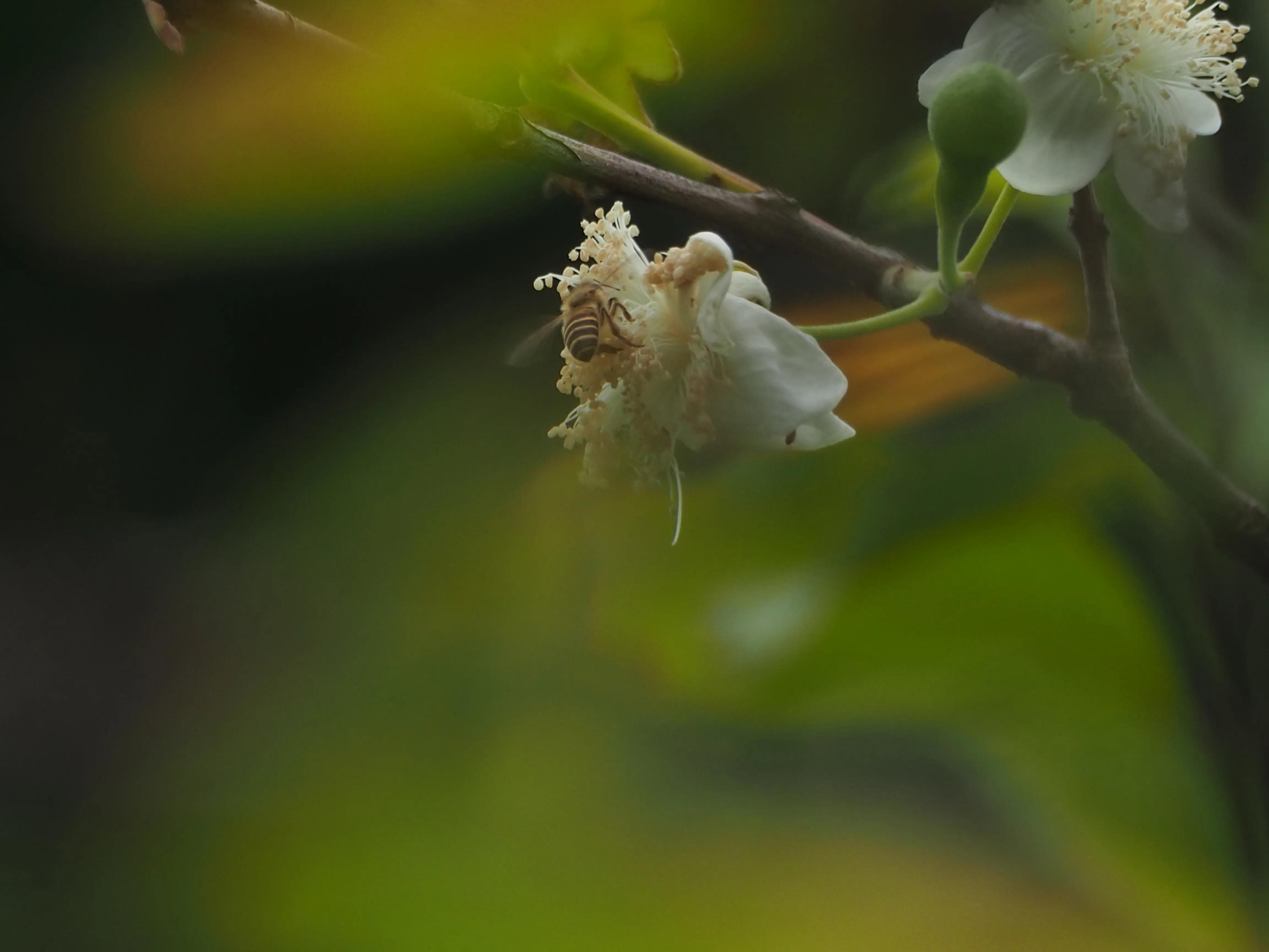 五一假期，O记实录