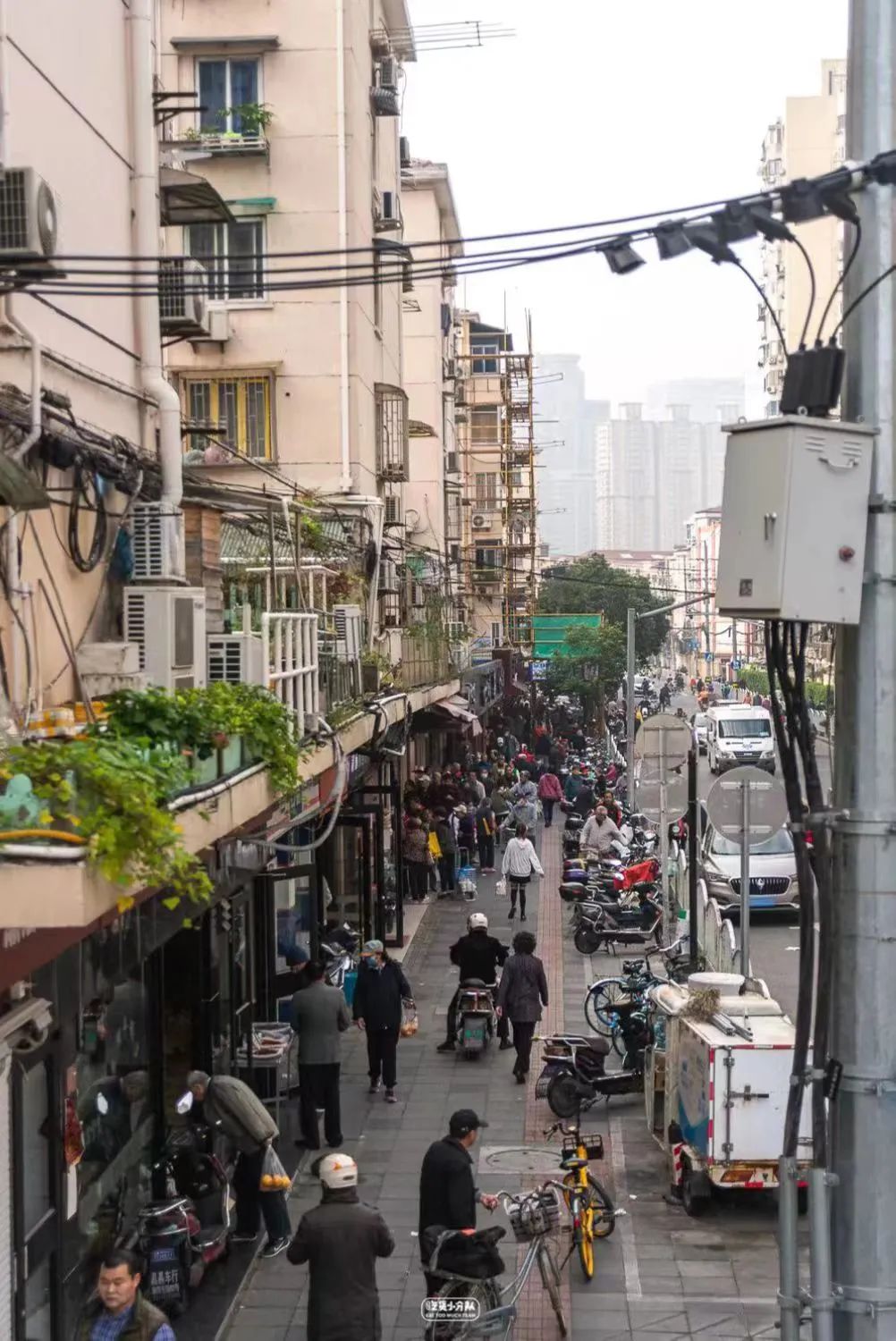 上海最好吃最便宜的火锅在哪里,上海最好吃的小吃在哪几条路上