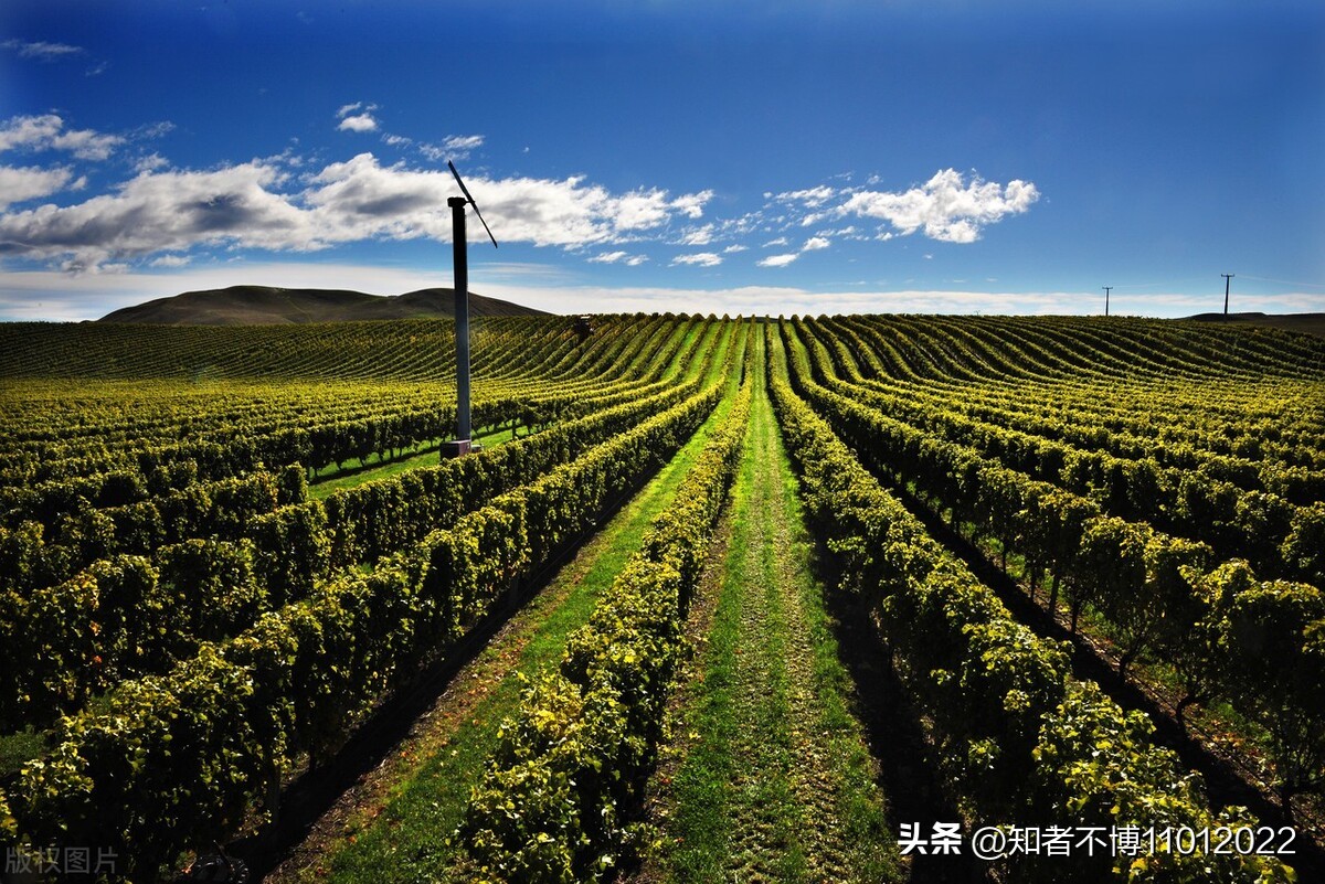 新西兰旅行27.聊聊新西兰的杂七杂八2【南岛旅游篇】【16022023】