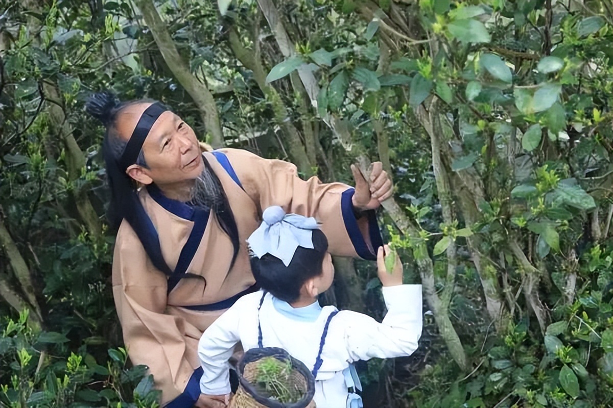 旺苍绿谷古道茶乡,旺苍千年古茶之乡