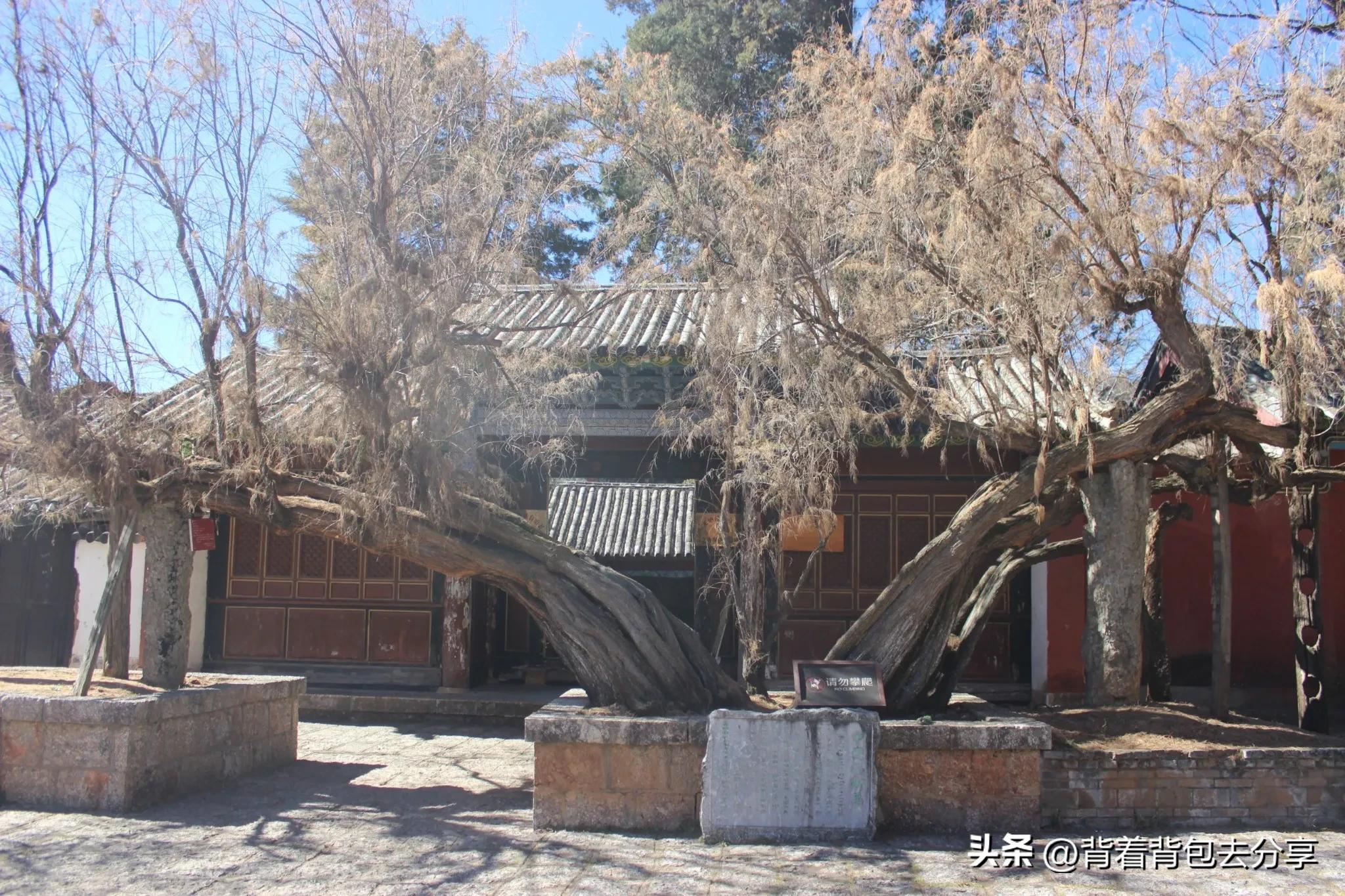 云南哪里最值得去免费景点,云南有没有免费旅游景点