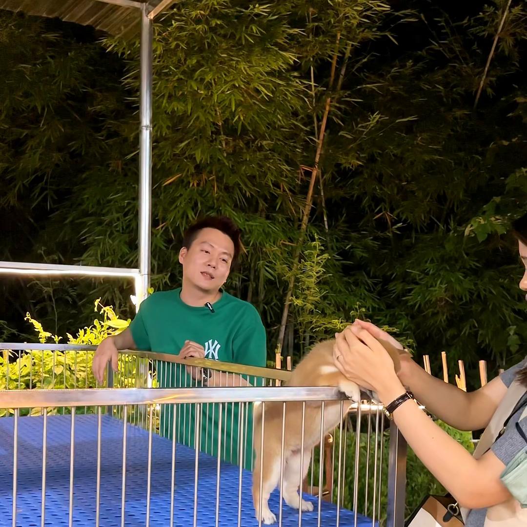 佛山哪里有柴犬狗场,广州买柴犬最好的地方在哪里呀