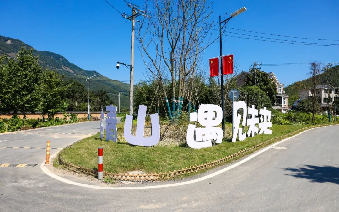 解析全国16个整村运营,解码全国16个整村运营经典案例