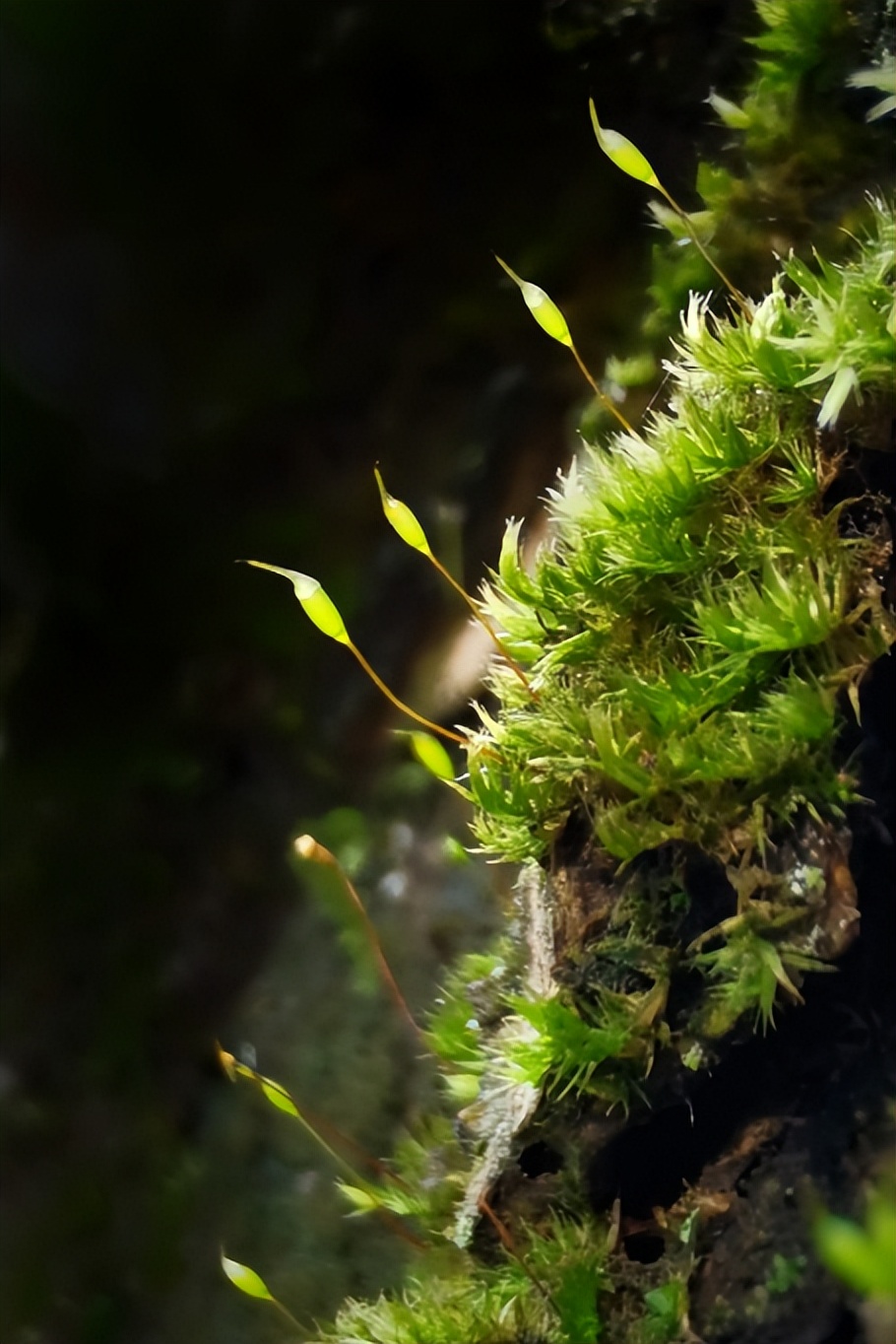 尊重是一种修养正能量,尊重是一个修养一种品格