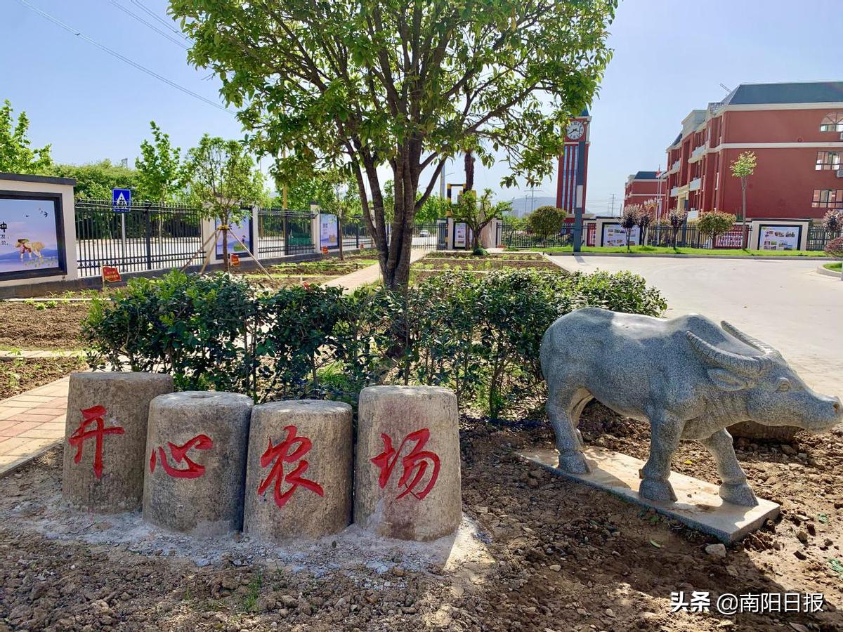 内乡复兴学校名字,内乡复兴学校河南省排行第几