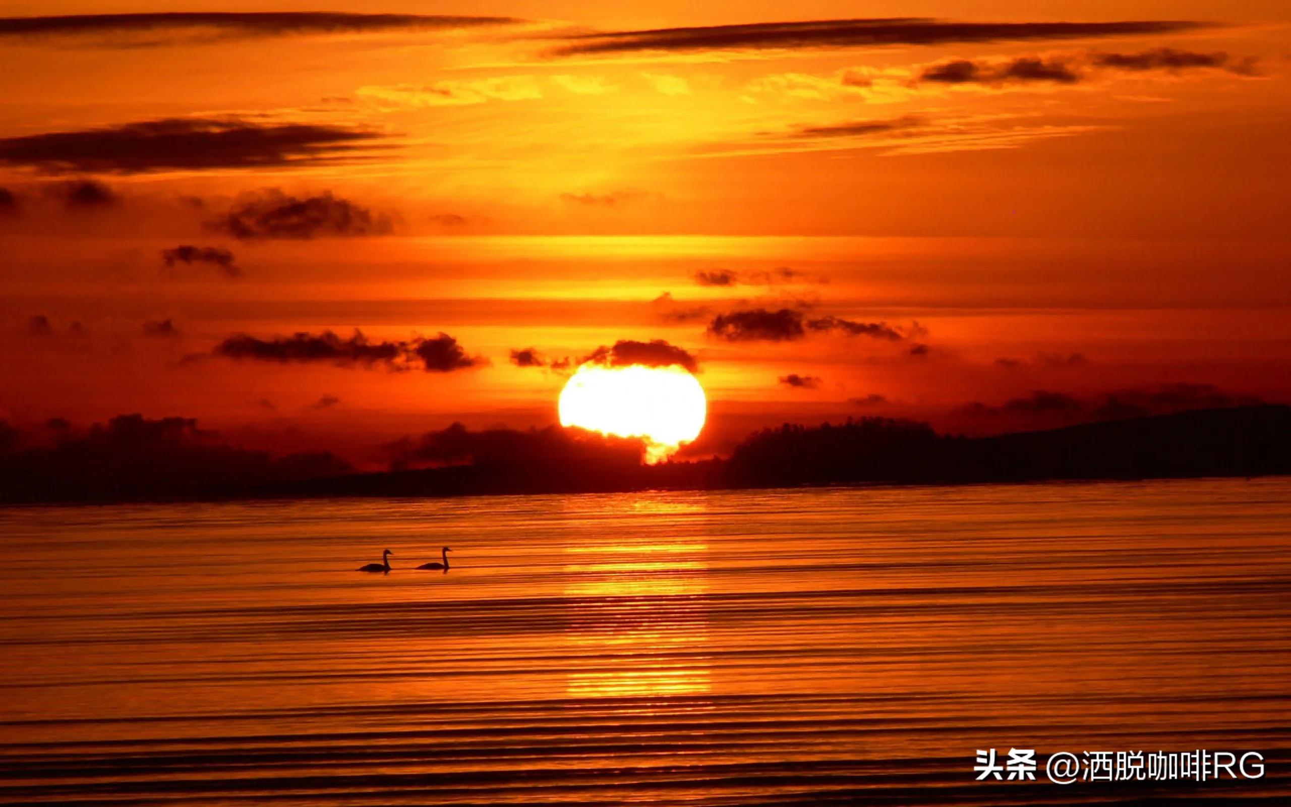 疫情期间我被公司辞退该怎么办,疫情期间我辞职了