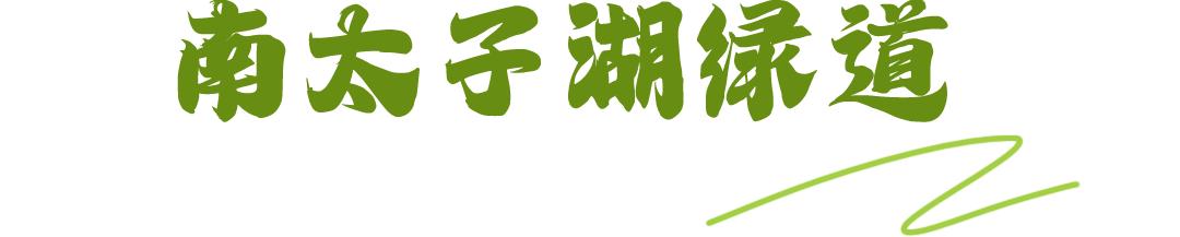 秋日暖阳骑行绿道,骑车绕城绿道值得打卡的推荐