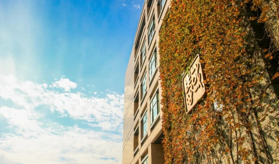 杭州各高校在全国排名,杭州市几个双一流