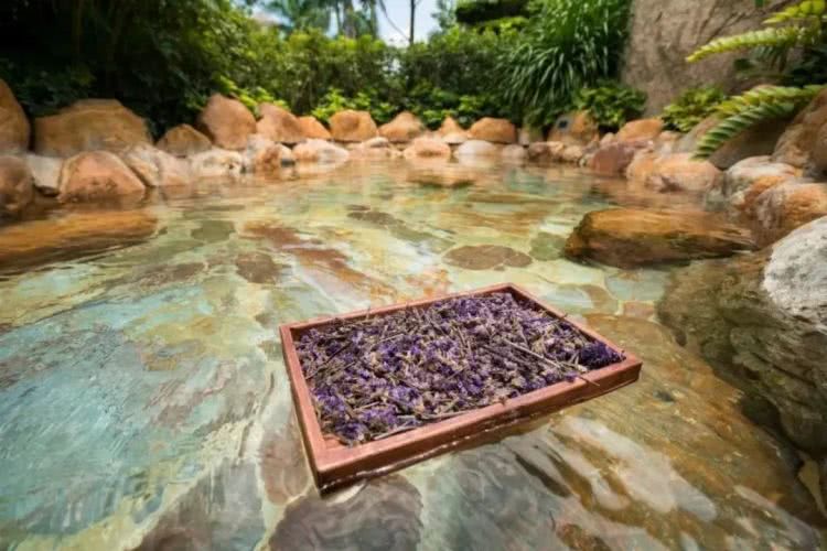 聚龙小镇：离城不离尘的心灵