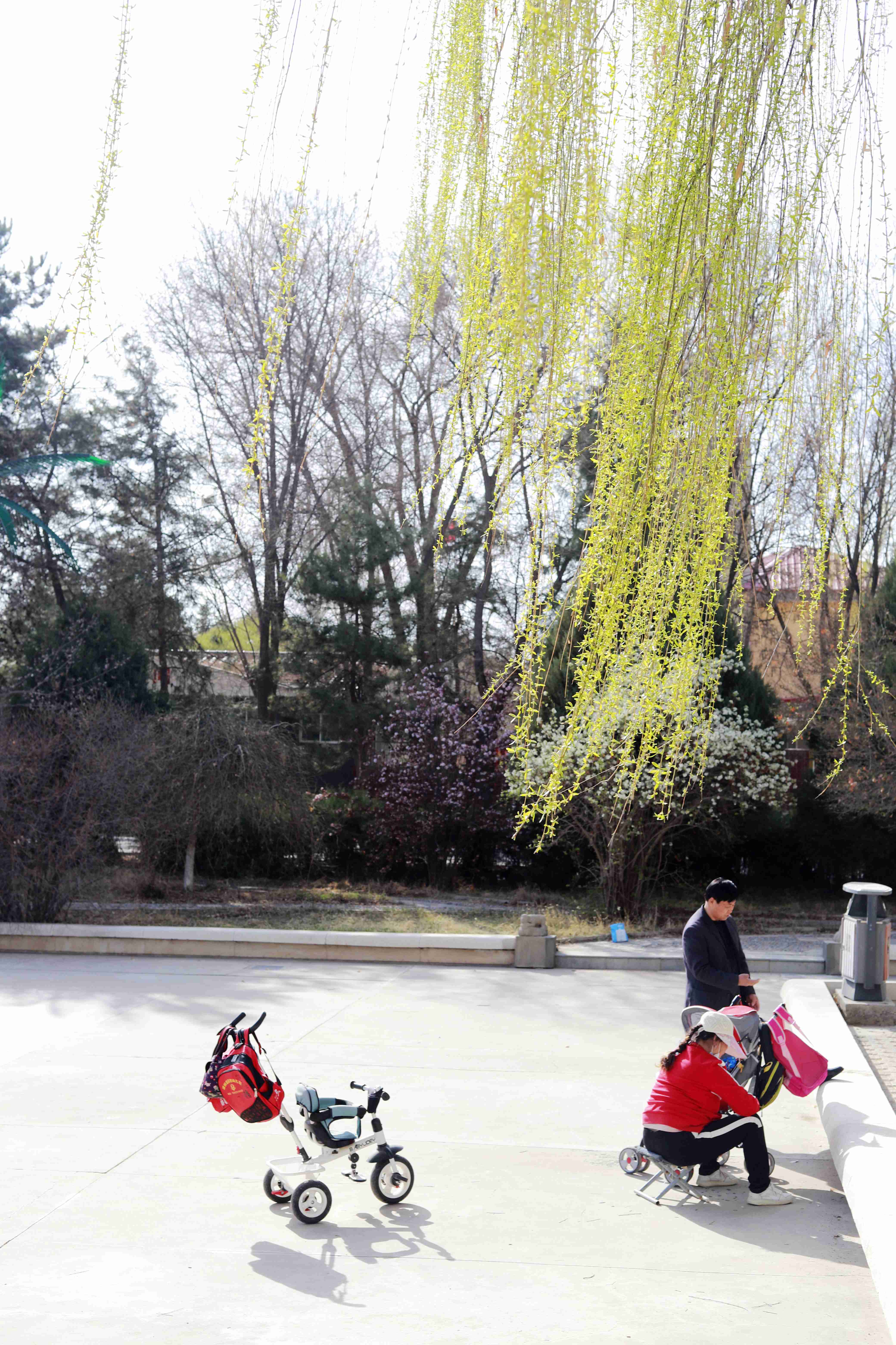 春风梳杨柳，条条碧玉妆