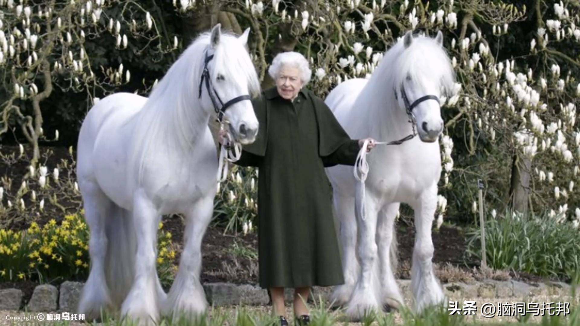 英国王室内情曝光,英国皇室惊天丑闻