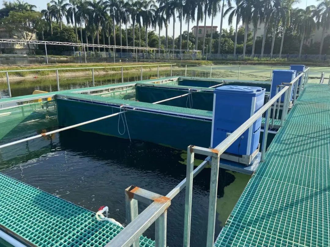 内循环环形跑道或圆形跑道养鱼,养鱼养殖场利润模式