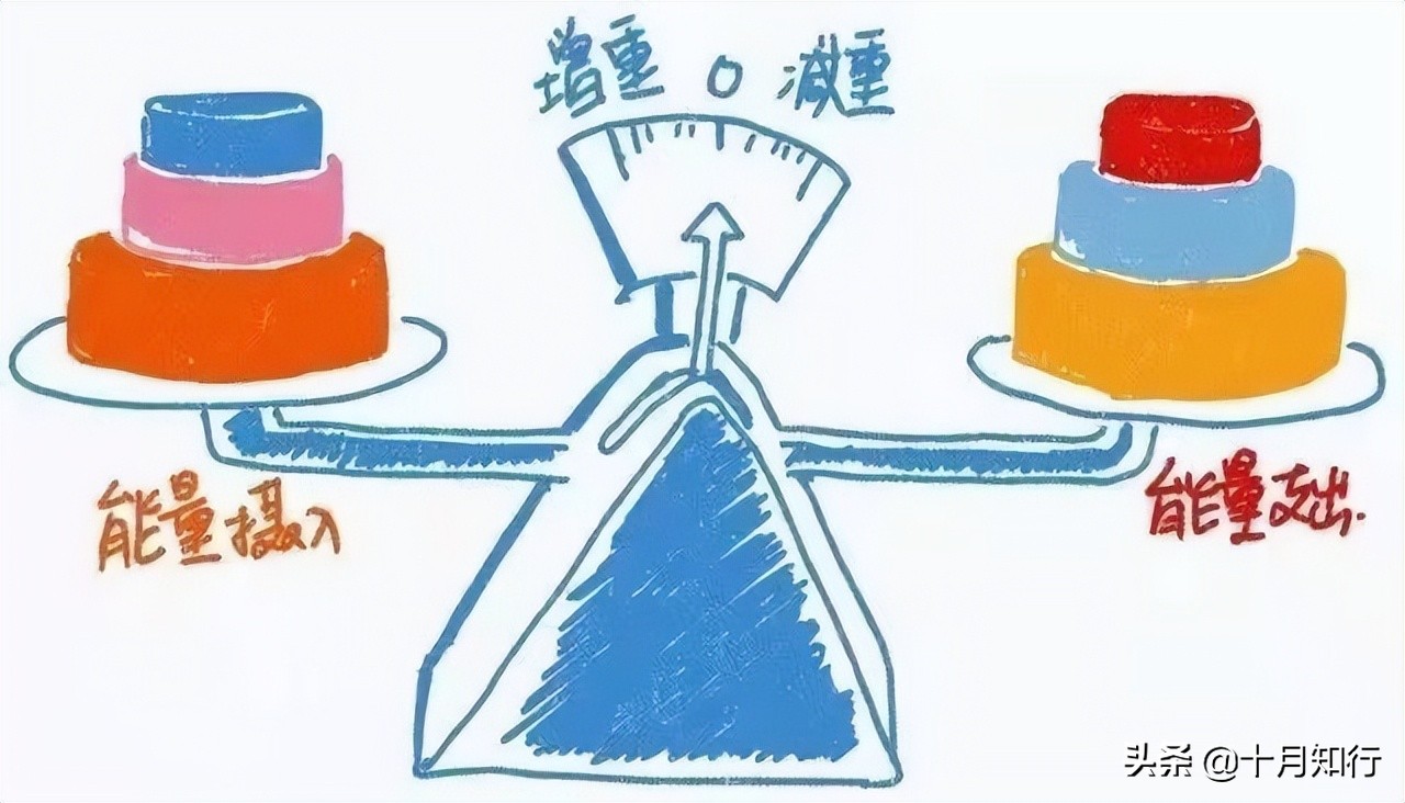 为什么控制饮食加锻炼还没瘦,为啥控制饮食加运动体重没瘦