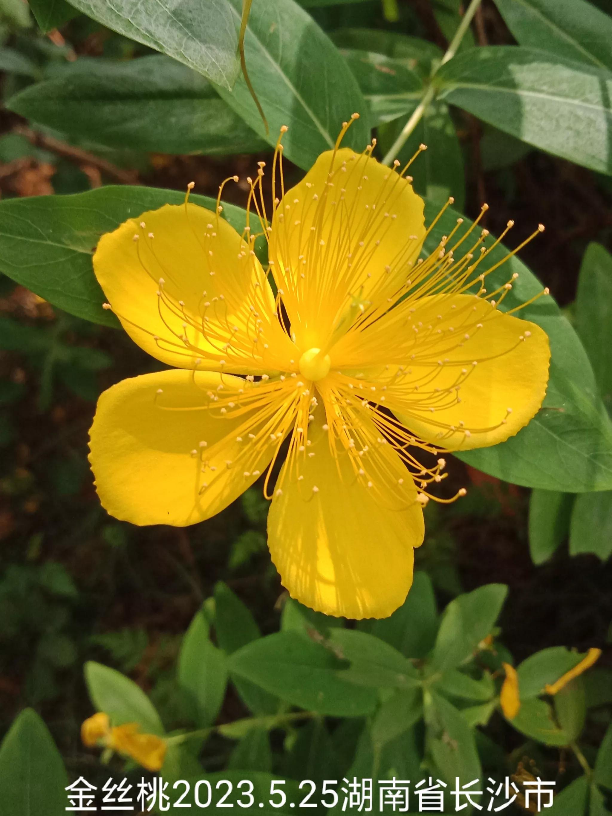 微信群没有保存下来怎么找回来,怎么找回没保存的微信群