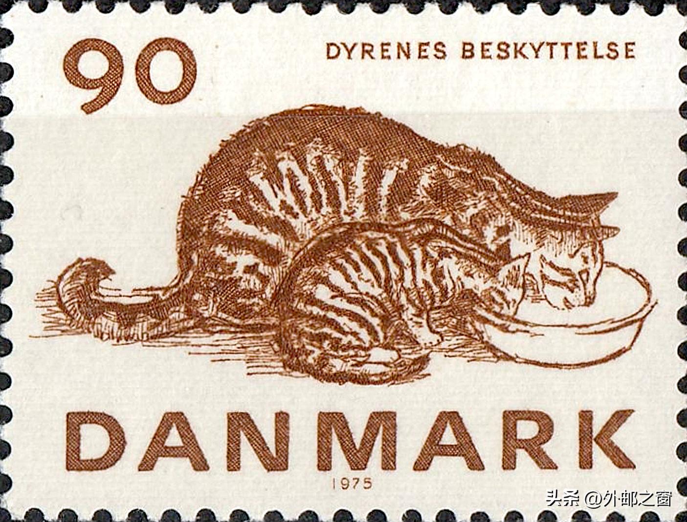 听说过吗?这些猫为邮局打工,还发工资!