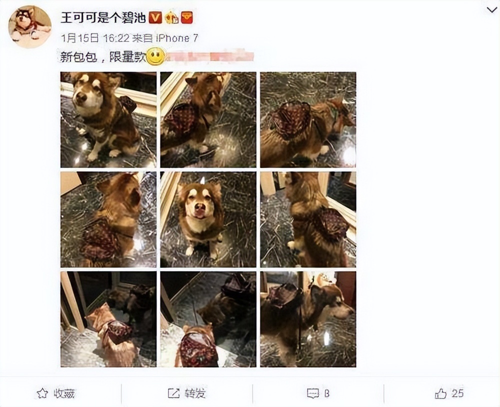 很罕见，中国的富二代们正在排队“离场”