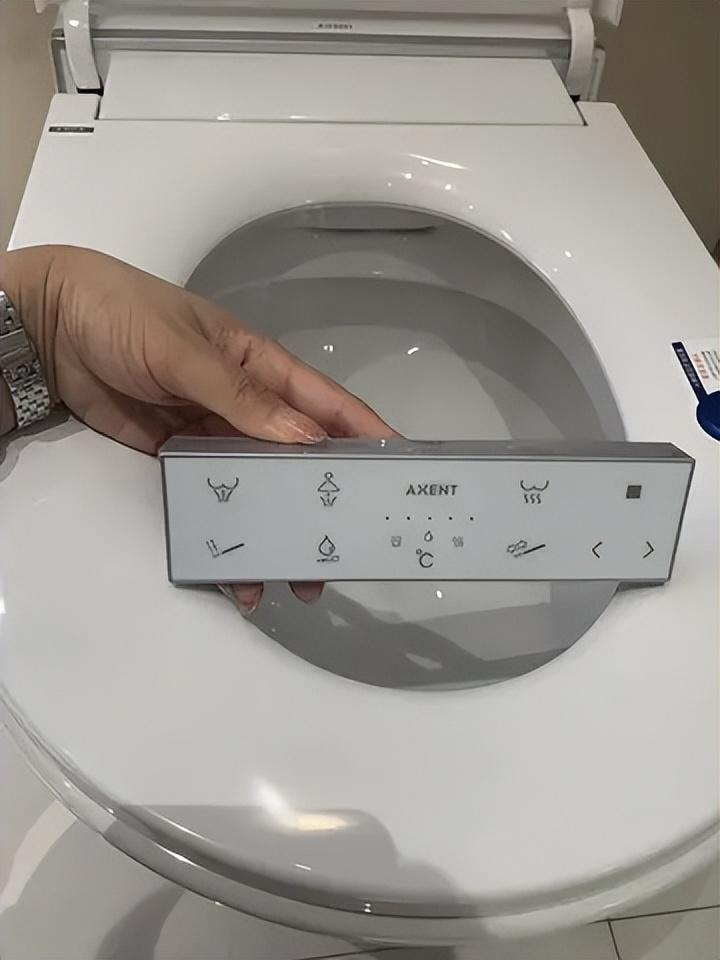 国内智能马桶与国外的差异,智能马桶国内好还是国外的好