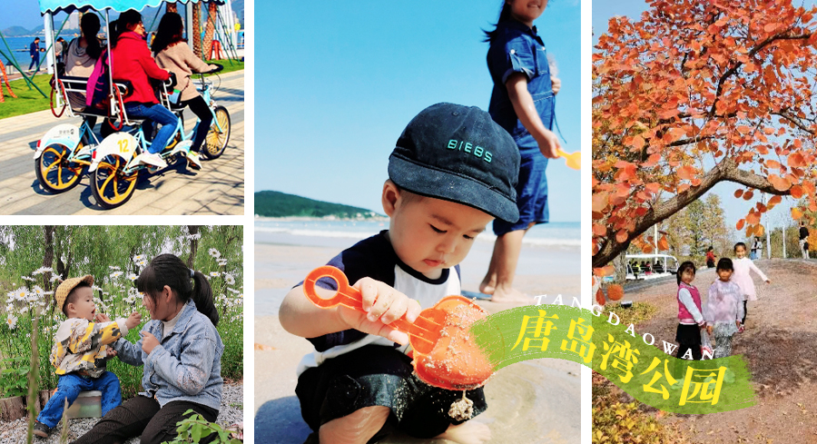 青岛第一浴场距离海底世界有多远,青岛带孩子玩的好去处推荐