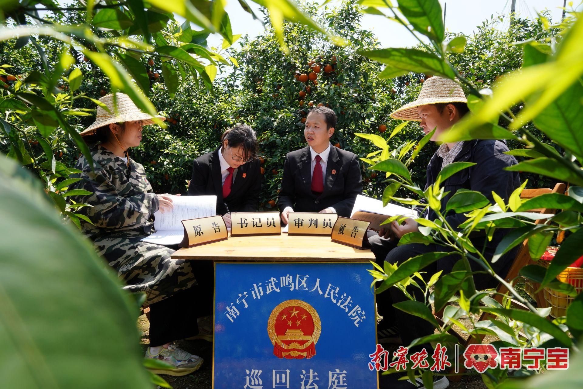 五治融合焕发社区治理生机,五城联创提升群众幸福感