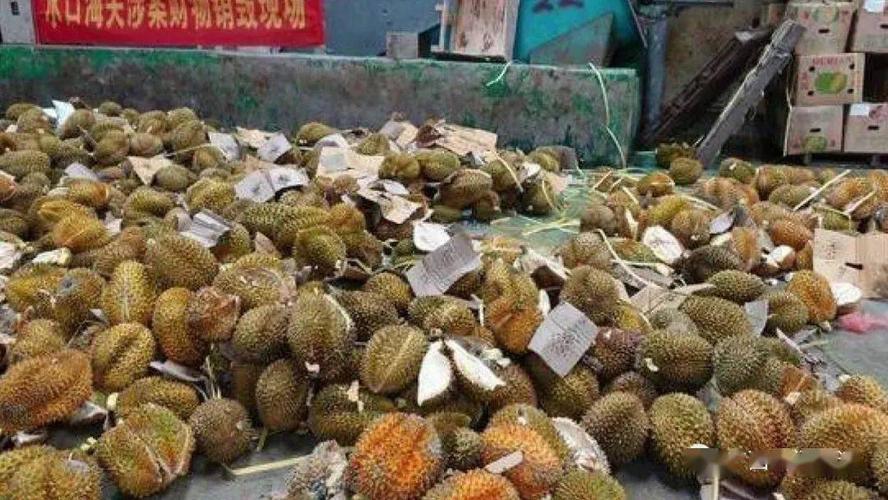 水果价格断崖式下跌,水果榴莲最低价