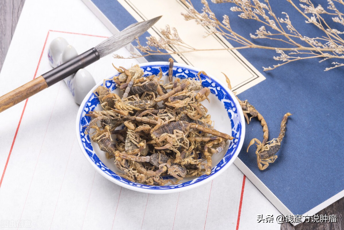 抗癌最有效毒虫是什么虫,有哪些虫子可以抗癌