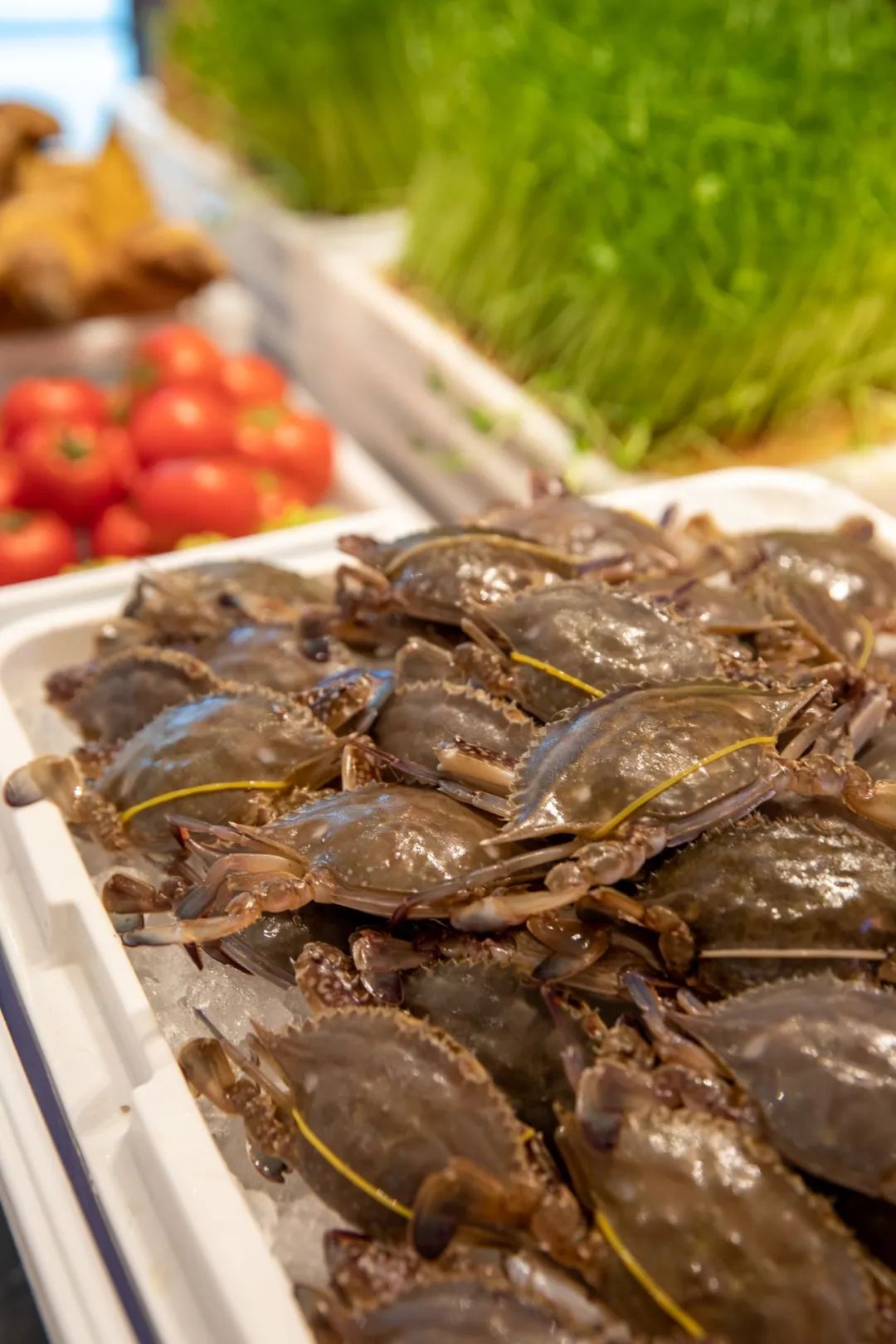 温州香格里拉香宫自助,温州香格里拉自助餐多少钱