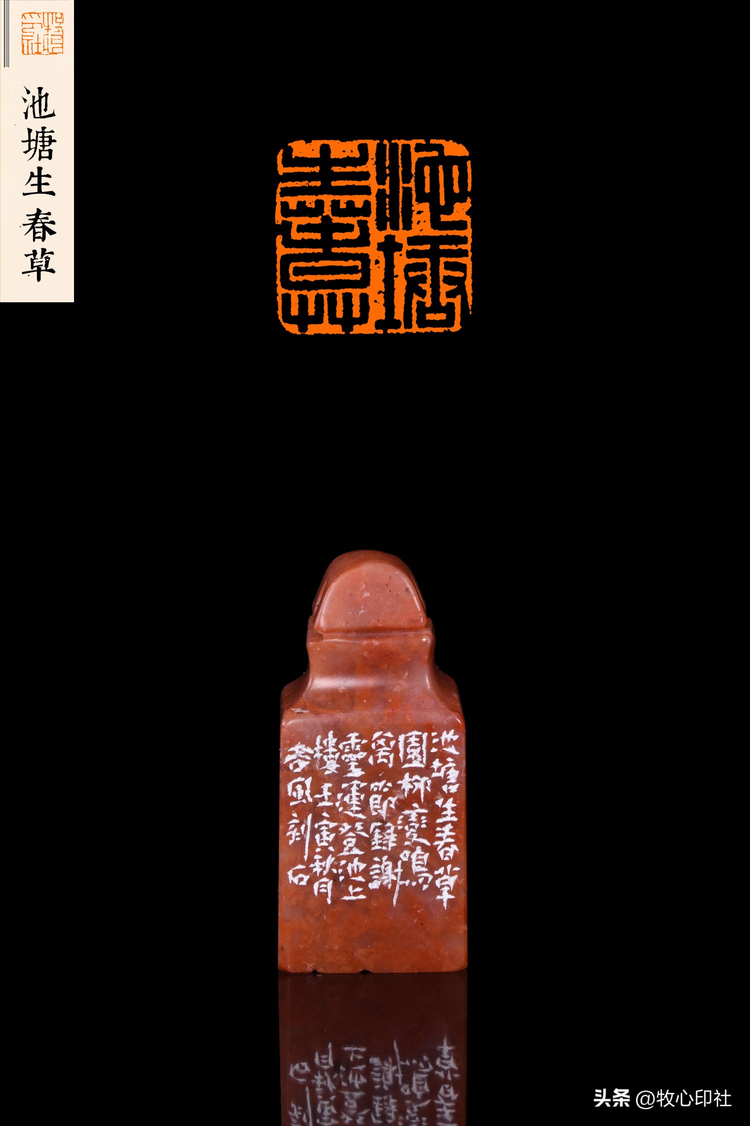 谢灵运倒拔垂杨柳,谢灵运雕虫之士