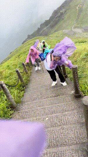 垃圾桶搞笑视频gif,搞笑gif段子塑料袋成精了