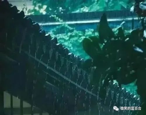 静处心安,与时清欢