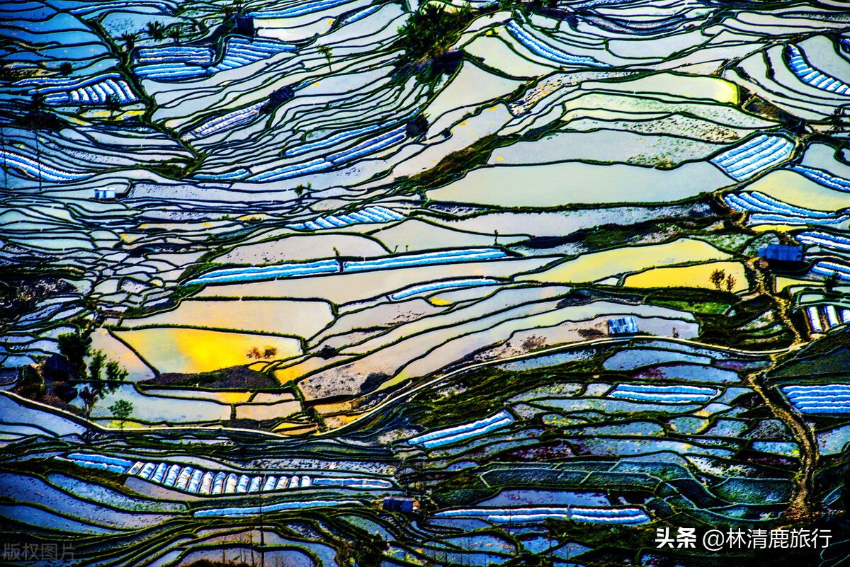 云南冬季最暖和的小城,云南昆明适合北方人过冬吗