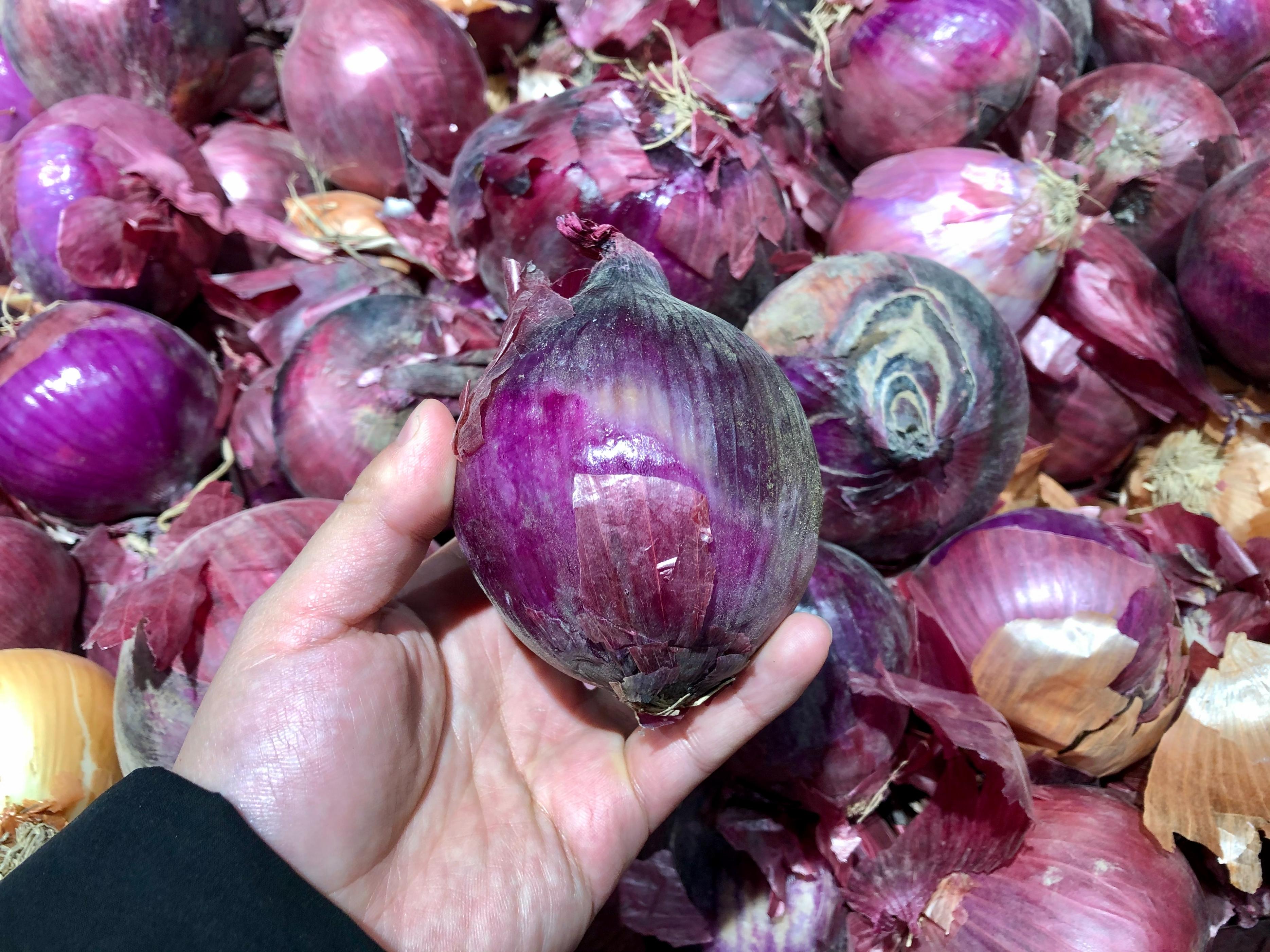 买洋葱怎么买嫩的,洋葱红皮和黄皮哪个好