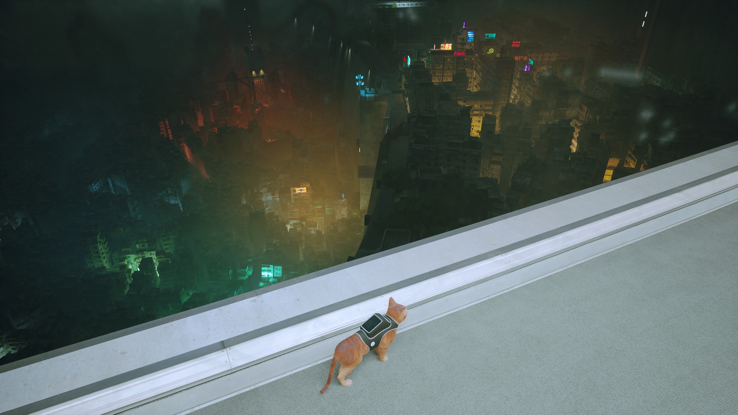 stray新游戏,stray这个游戏怎么样