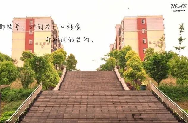 黄陂市新洲一中怎么样,武汉新洲一中与黄陂一中哪家强