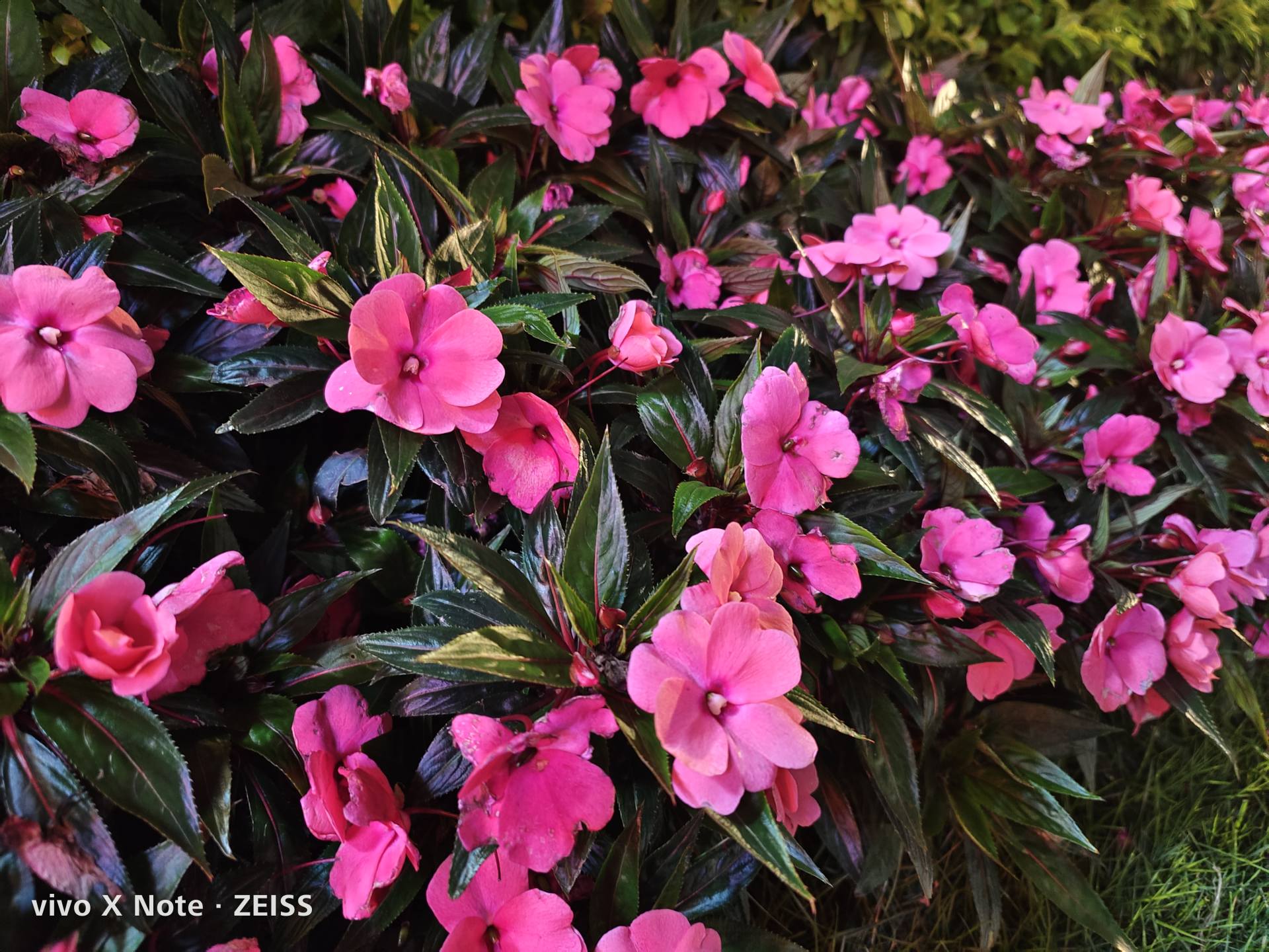 小白vivoxnote评测7寸巨屏,vivoxnote实际使用评测