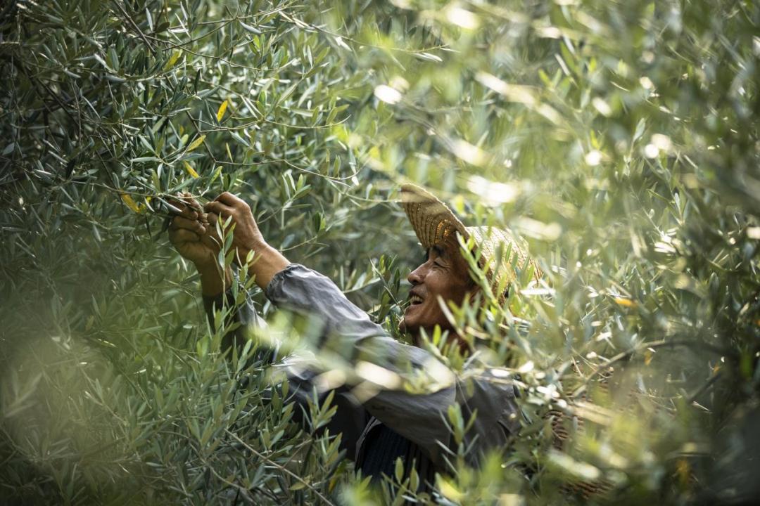 8000字拆解，一叶子的两次重要升级对化妆品行业的启示？