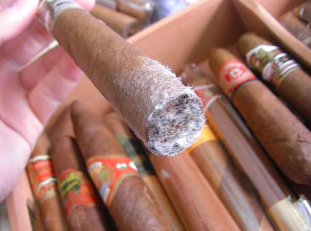 制烟厂员工都抽什么烟,烟厂职工可以免费抽什么烟