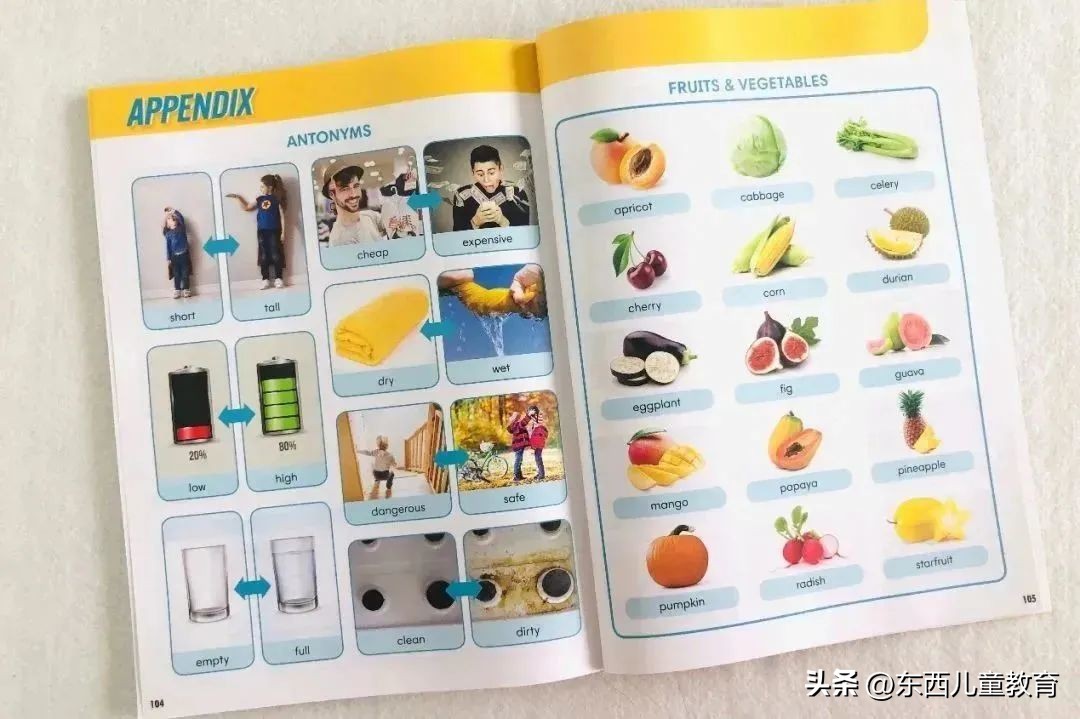 初升高快速记住英语单词书,江西省初中英语单词必背3500词汇