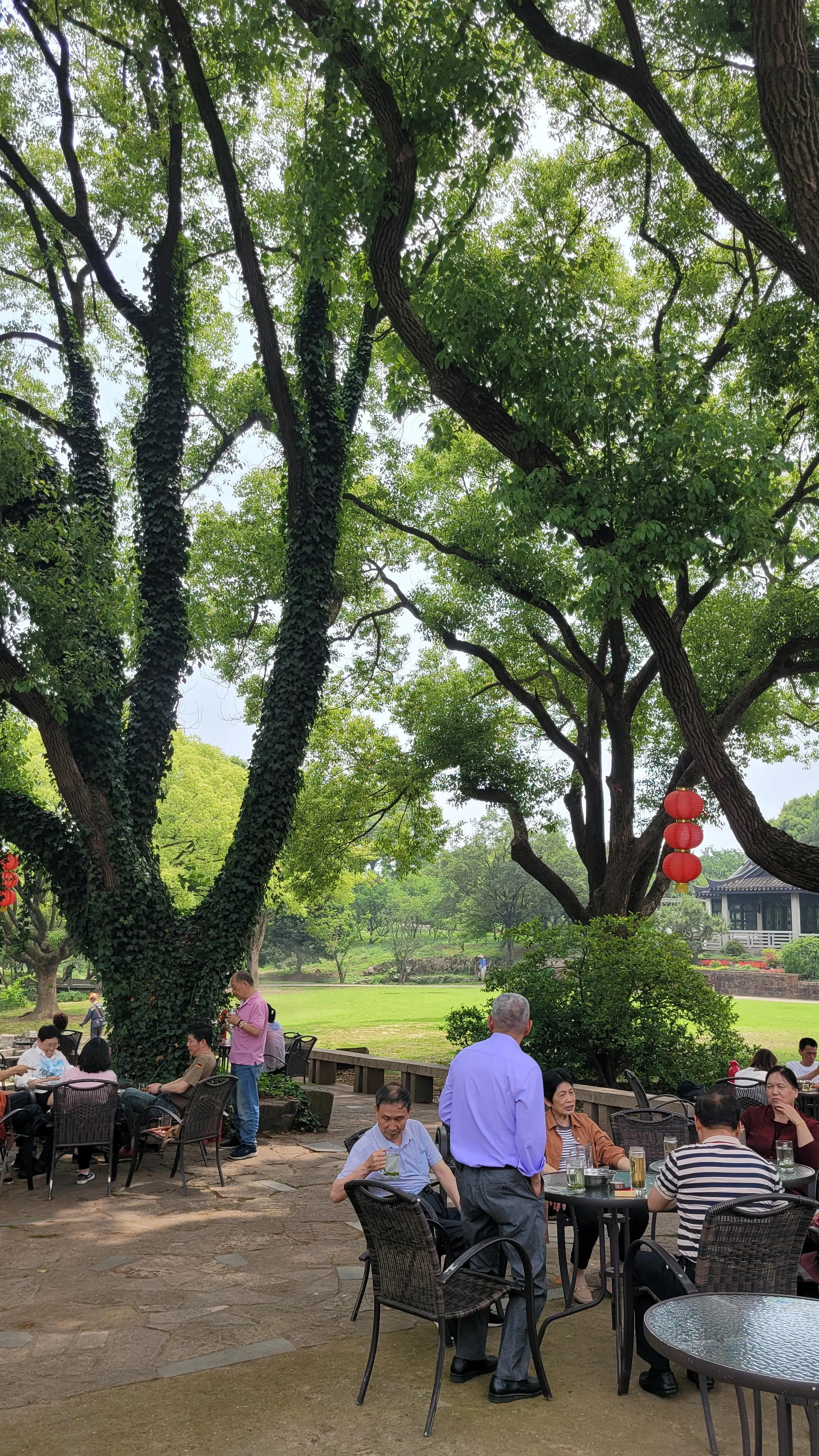 春天去无锡樱花谷旅游,无锡市梅园一日游攻略