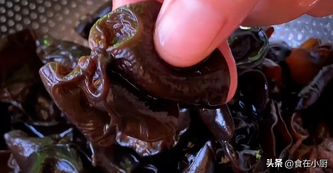 木耳怎么泡干净又快除虫卵,木耳上有很多黑点虫卵还能吃吗