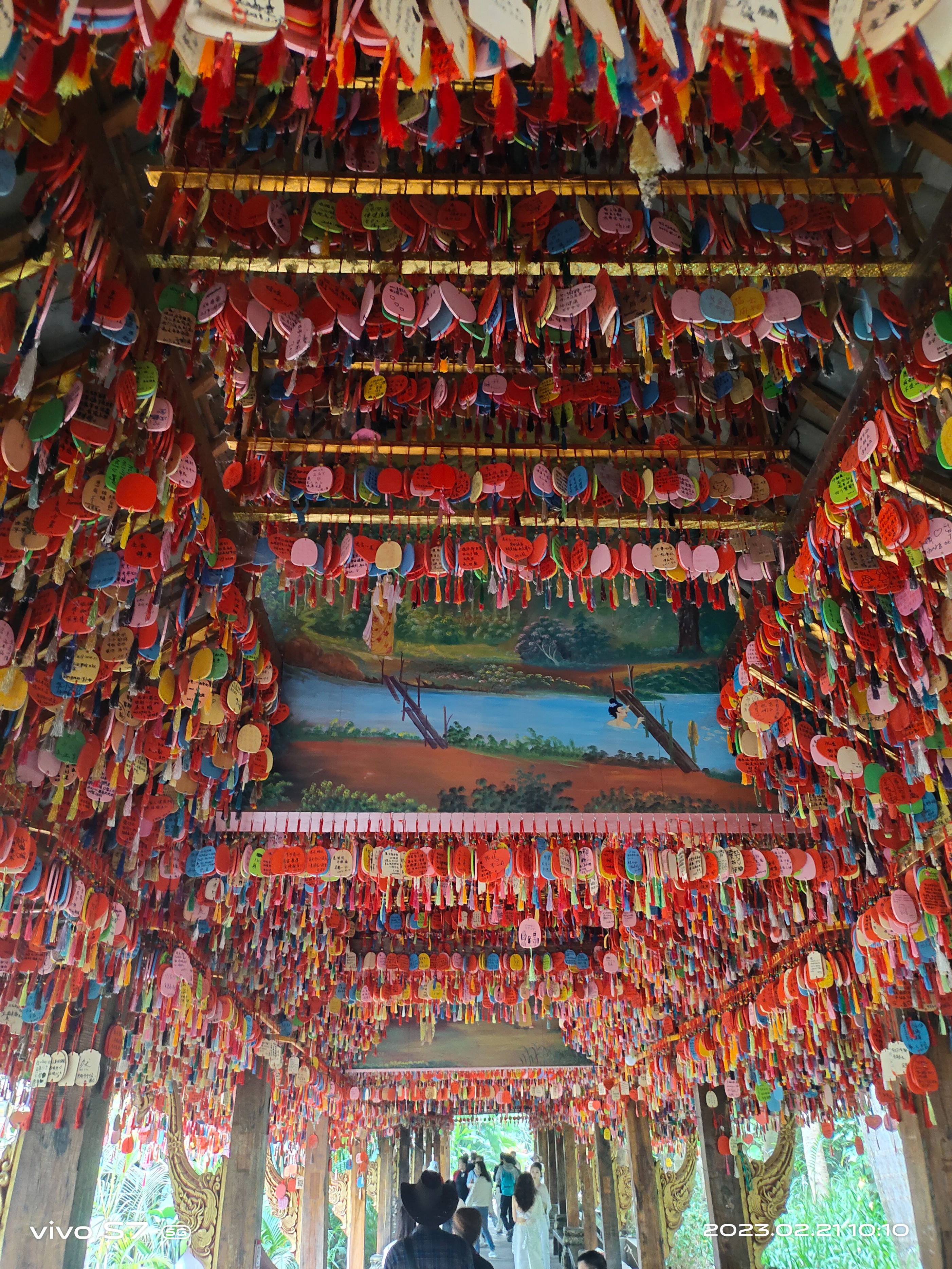 西双版纳曼听园攻略,云南西双版纳打卡曼听公园