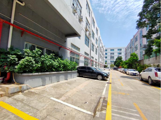 97年的我负债8万怎么办,深圳创业失败负债300万