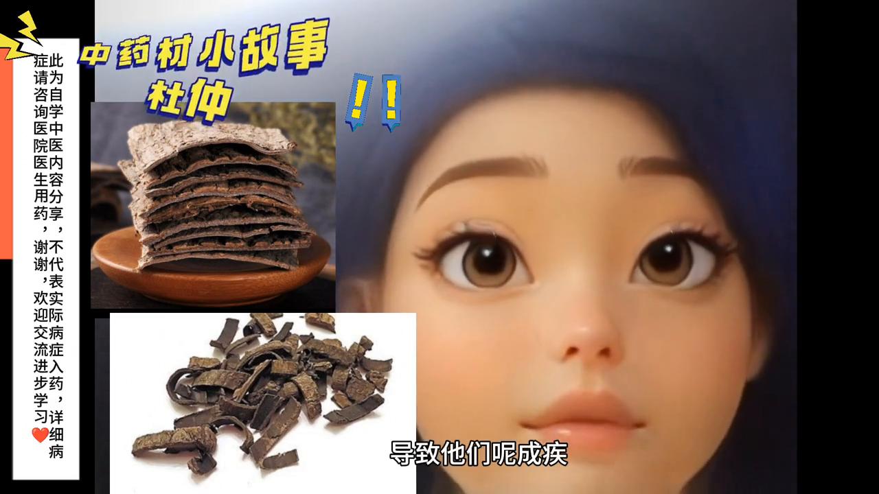 中药材杜仲金樱子,中药杜仲的故事